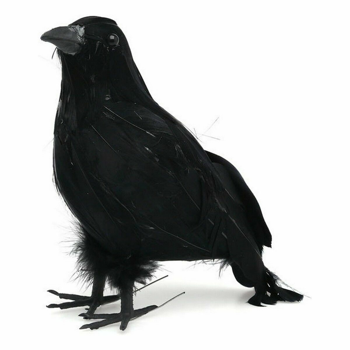 s Product Image