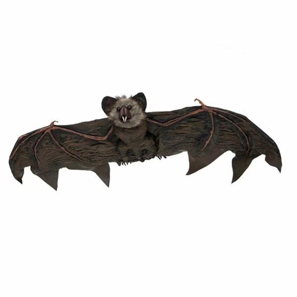 s Product Image